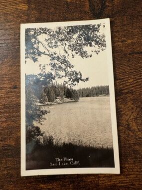 Vintage RPPC Bass Lake, CA The Pines Postcard